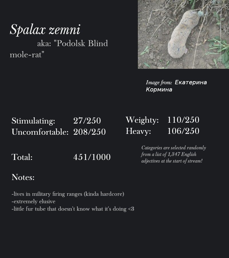 Spalax zemni